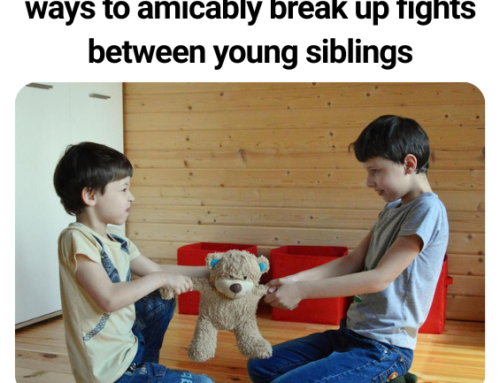 How to Handle Sibling Rivalry: Key Lessons from “This Book Won’t Teach You Parenting”