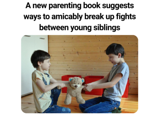 How to Handle Sibling Rivalry: Key Lessons from “This Book Won’t Teach You Parenting”
