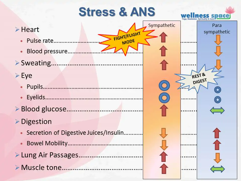 Stress and its impact