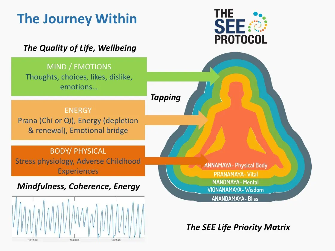 The core elements of module 1 - the journey within