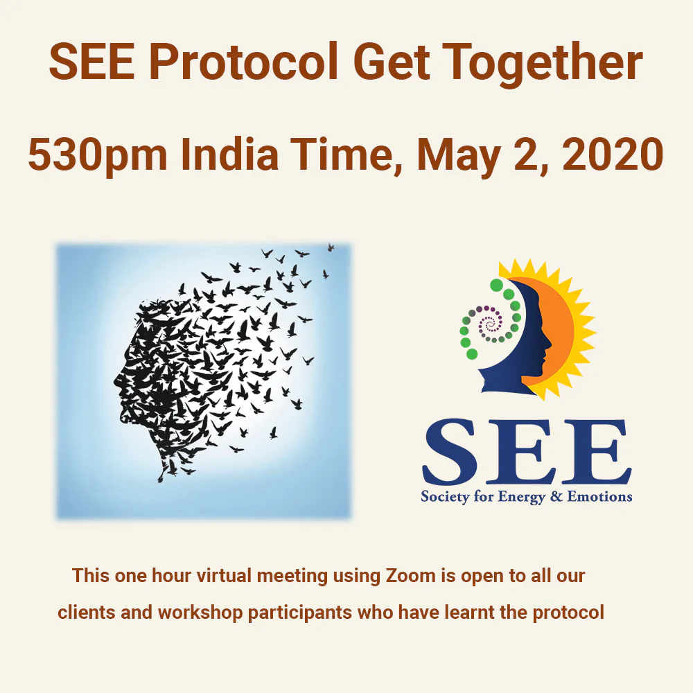 SEE Protocol Get Together