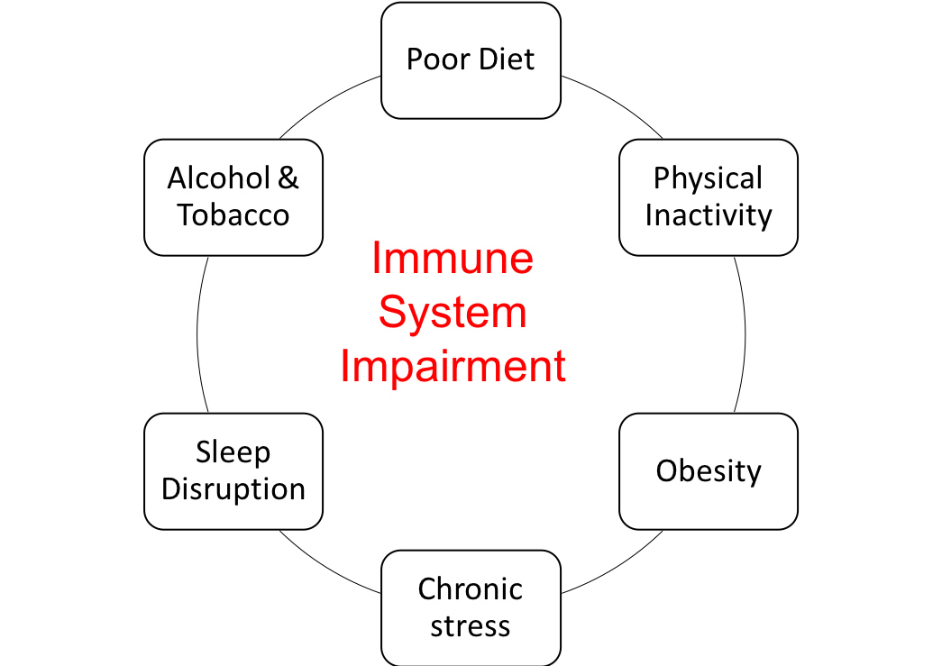 immune system risk factors
