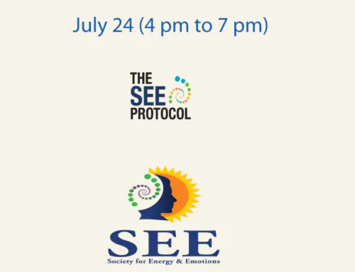 SEE Protocol workshop July