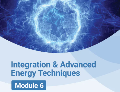 Life Coaching & Advanced Integration Techniques (M6)