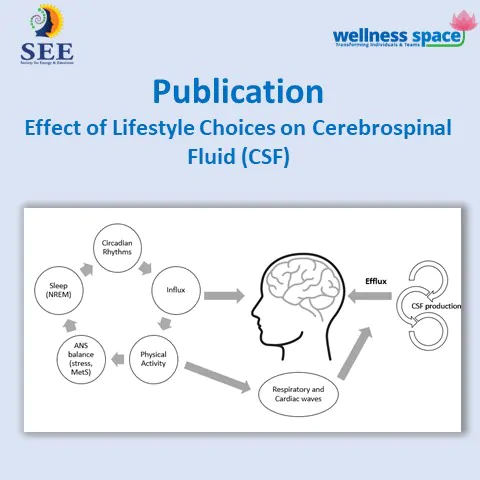 Effect of lifestyle choices on Cerebrospinal Fluid (CSF) pulsations