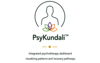 PsyKundali integrated psychotherapy dashboard logo with mental wellness and recovery pathway visualization design.