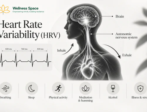 Heart Rate Variability: What It Actually Tells You About Stress, Recovery and the Nervous System